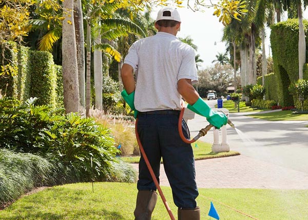 About Everett WA Pest Control
